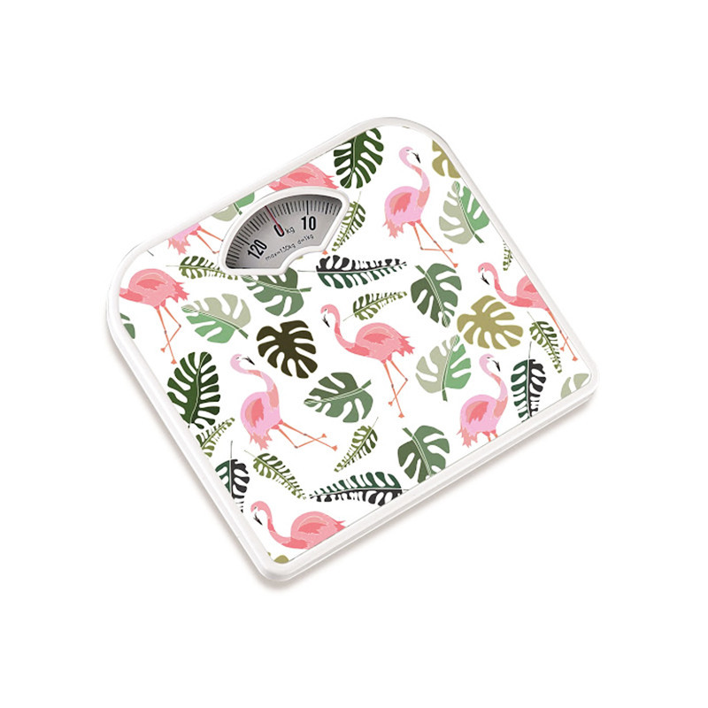 Camry Analog Bathroom Weight Scale BR2019