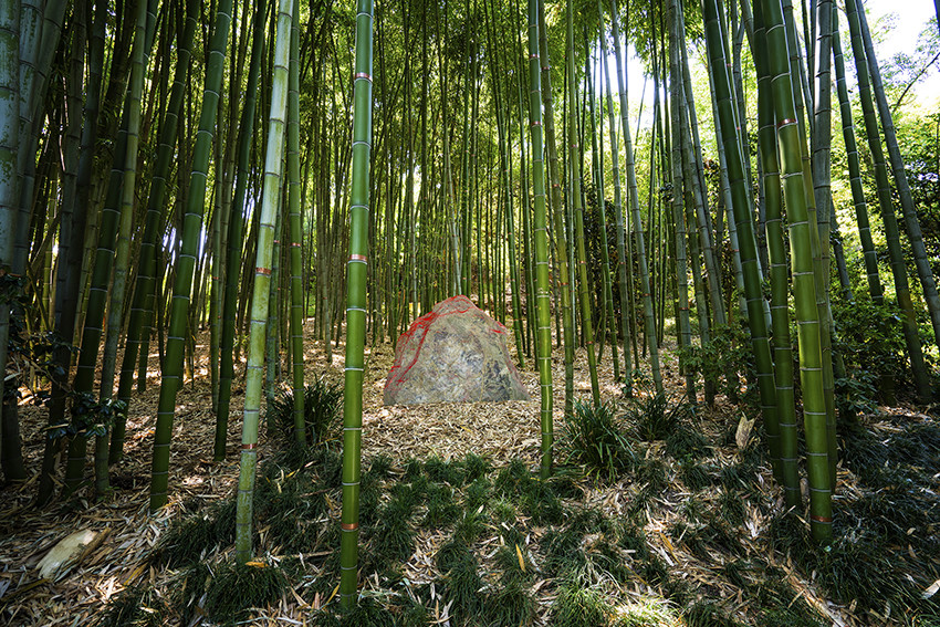 বাঁশ খান, সুস্থ থাকুন